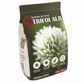 Seminte de trifoi alb Gazonul 500 g