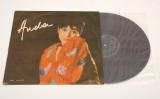 Vinil Anda Călugăreanu - Anda - Electrecord LP, Stare Foarte Bună, Muzică Rom&acirc;nească De Colecție