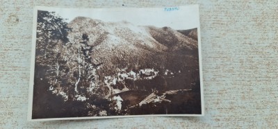 R.P.R. Harghita - Tușnad - Vedere generala. foto