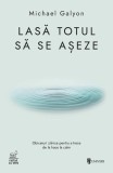 Carte Lasă totul să se așeze Michael Galyon Dezvoltare personala brosata echilibru speranta