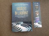 Lavinia Barlogeanu - Rataciti in labirint. Chipuri ale bantuirii si mantuirii in procesul terapeutic