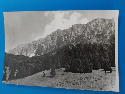 CPIB 23326 CARTE POSTALA - MASIVUL PIATRA CRAIULUI, RPR, NECIRCULATA foto