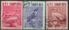 C5326 - Albania 1961 - Pasari,serie 3v.stampilat-cto