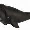 Figurina Balena Bowhead XL Collecta