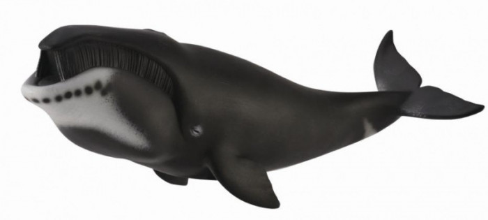 Figurina balena bowhead xl collecta