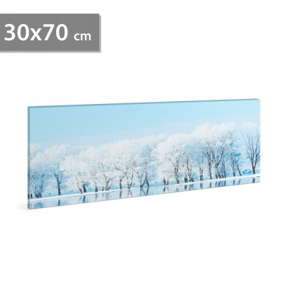Tablou decorativ cu LED &amp;ndash; 70 x 30 cm &amp;ndash; peisaj de iarnă foto