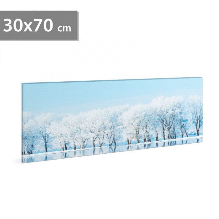Tablou decorativ cu LED &ndash; 70 x 30 cm &ndash; peisaj de iarnă