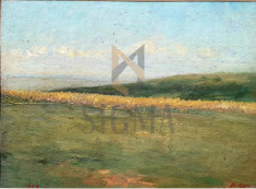 Tablou OTTO BRIESE &amp;quot;Peisaj&amp;quot; ulei pe carton, 22 x 30 cm semnat dreapta jos Briese - OTTO BRIESE foto