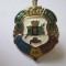 Rara! Insigna militara Moldova:Pentru Dumnezeu si tara-razboiul Transnistria1992