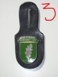 QW8 13 - Insigna - tematica militara - frunza stefar - suport piele, Europa