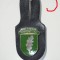 QW8 13 - Insigna - tematica militara - frunza stefar - suport piele