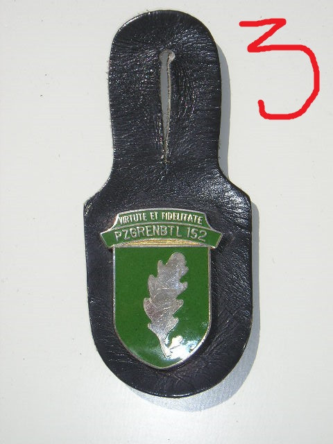 QW8 13 - Insigna - tematica militara - frunza stefar - suport piele
