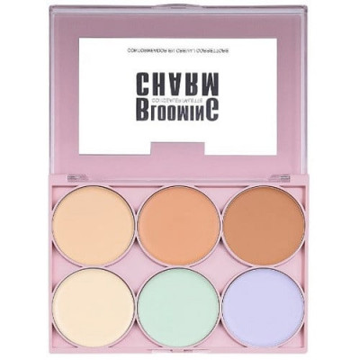 Paleta corector si anticearcan, Ushas, Blooming Charm Concealer, 6 culori, 03 foto