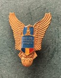 Insigna Scoala de Aviatie Aurel Vlaicu
