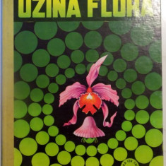 UZINA FLORA de TUDOR OPRIS , ILUSTRATII de DUMITRU IONESCU , 1980