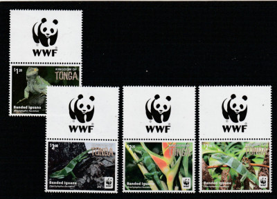Tonga 2016-Fauna,WWF,Cameleoni,serie 4 val.cu vigneta WWF.sus,MNH,Mi,2098-2101 foto