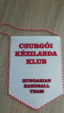 M3 C7B - Fanion - handbal - Clubul Csurgoi Kezilabda Klub - Ungaria