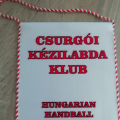 M3 C7B - Fanion - handbal - Clubul Csurgoi Kezilabda Klub - Ungaria