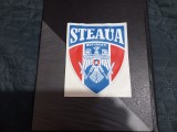 Autucolante Steaua