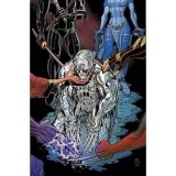 Wolverines: Vol. 1