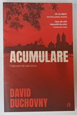 ACUMULARE de DAVID DUCHOVNY , 2023 foto