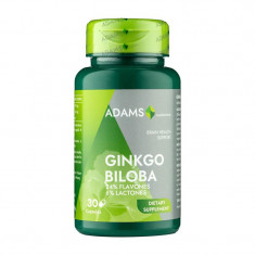 Ginkgo Biloba 24/6 240 miligrame 30 capsule Adams Vision