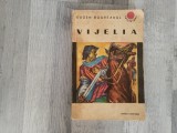 Vijelua de Eugen Boureanul