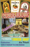 Formația Junior 2000 - Petrecerea Burlacilor Vol.1 (Muzica de Petrecere, Caseta Audio, Stare Buna)