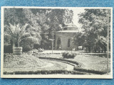 453 - Buzias - In parc / carte postala RPR circulata 1956
