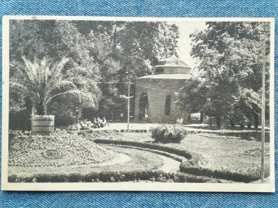 453 - Buzias - In parc / carte postala RPR circulata 1956 foto