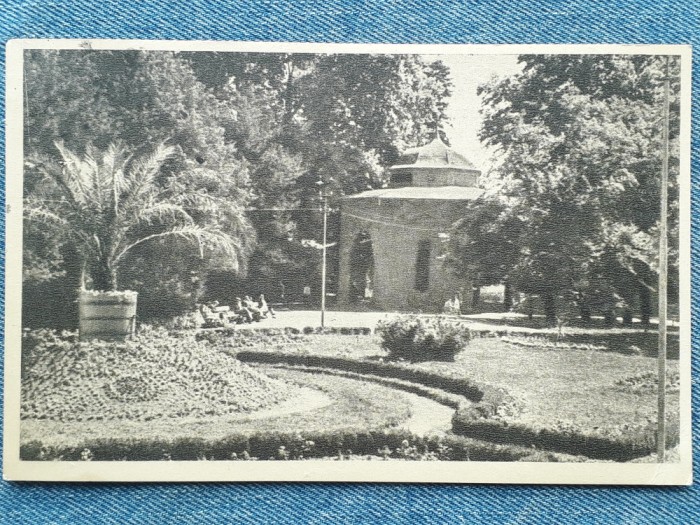 453 - Buzias - In parc / carte postala RPR circulata 1956