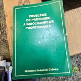 Probleme de prevenire a imbolnavirilor profesionale Vol.I