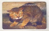 bnk card Cartele telefonice - Grecia 1999 - fauna - pisica