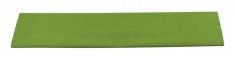 Hartie creponata hobby 50x200cm verde deschis