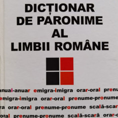Dictionar De Paronime Al Limbii Romane - Nicolae Andrei ,555678