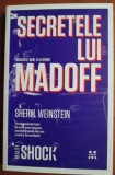 Sheryl Weinstein - Secretele lui Madoff. Dragoste, bani, eu &amp; Bernie (ed. Pandora M / col. Reality Shock) - sarlatanul Bernard Madoff, schema Ponzi
