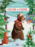 Un Neasteptat Craciun In Padure Annette Amrhein Sabine Straub - Didactica Publishing House