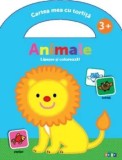 Cumpara ieftin Animale. Lipeste si coloreaza!/***