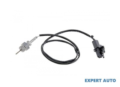 Senzor temperatura gaze dpf Renault Megane II (2002-2011)[BM0/1_,CM0/1_] #1 foto