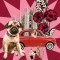 Mamma Milano: An Insider&#039;s Guide to Creative Self-Discovery, the Italian Way