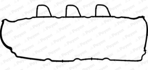 PAYEN JM7165 Garnitura, capac supape