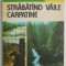 Strabatand vaile carpatine &ndash; Paul Decei