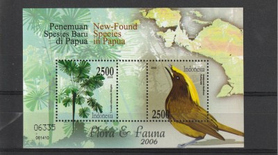 Fauna ,flora ,noi specii din Papaua. foto