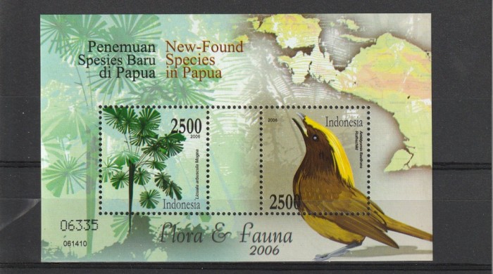 Fauna ,flora ,noi specii din Papaua.