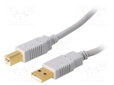 Cablu USB 2.0 A-B 5m gri, aurit - BQ CABLE