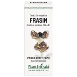 Extract Muguri Frasin 50ml PlantExtrakt