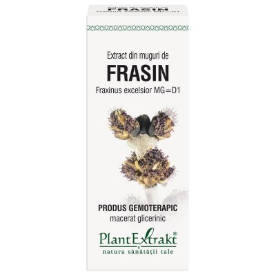 Extract Muguri Frasin 50ml PlantExtrakt foto