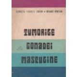 Tumorile gonadei masculine