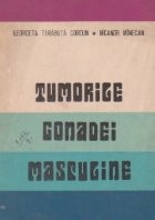 Tumorile gonadei masculine foto