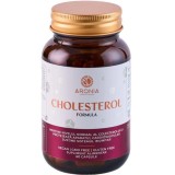 Colesterol Formula 60 capsule Aronia Charlottenburg